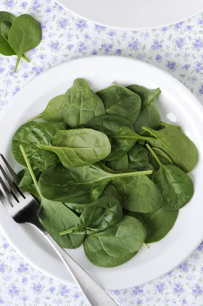 Bebek ıspanak salatası