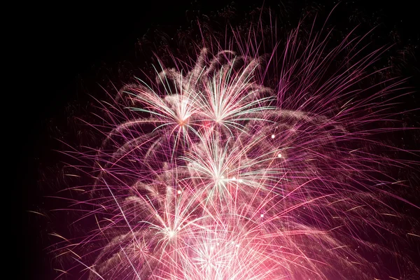 Fuochi artificiali — Foto Stock