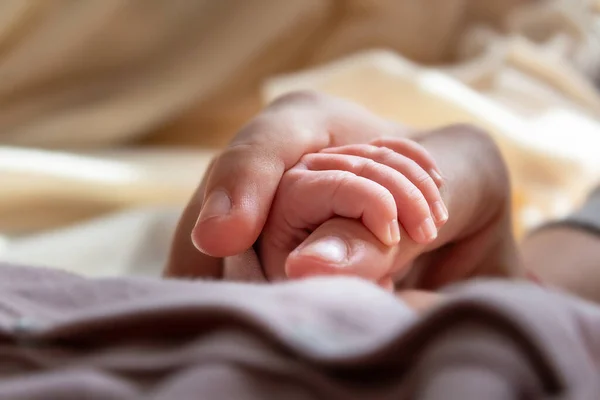 Primer plano de los pequeños bebés recién nacidos dedos. — Foto de Stock