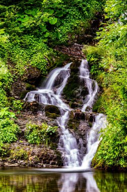 Ukrayna Karpatları 'ndaki şelalenin manzarası