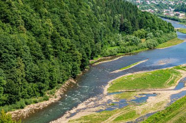 Ukrayna Karpatları 'ndaki dağ nehrinin manzarası
