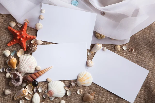 Shells and starfish with white papers — Stock Photo, Image