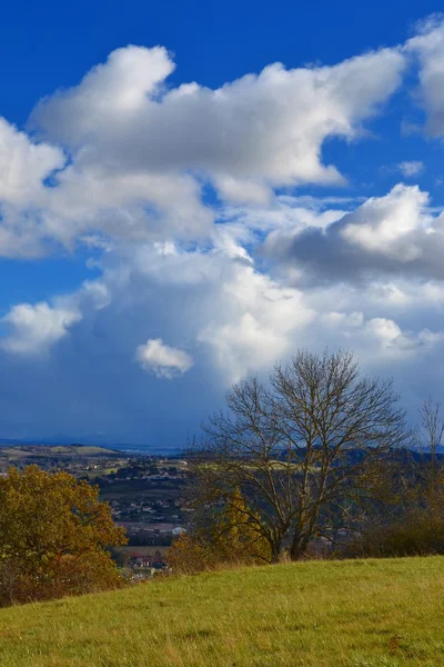 Foto: dpa — Stockfoto