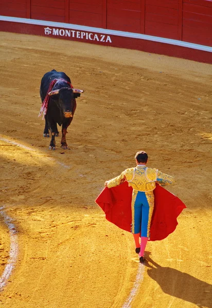 Bull and bullfighter — Stock Photo, Image