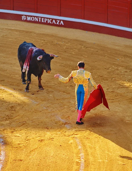 Bull and bullfighter — Stock Photo, Image