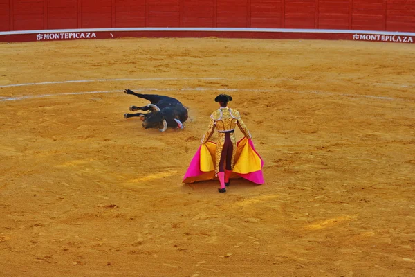 Toro y torero —  Fotos de Stock