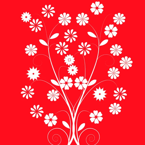 Fehér virágok piros háttér — Stock Fotó