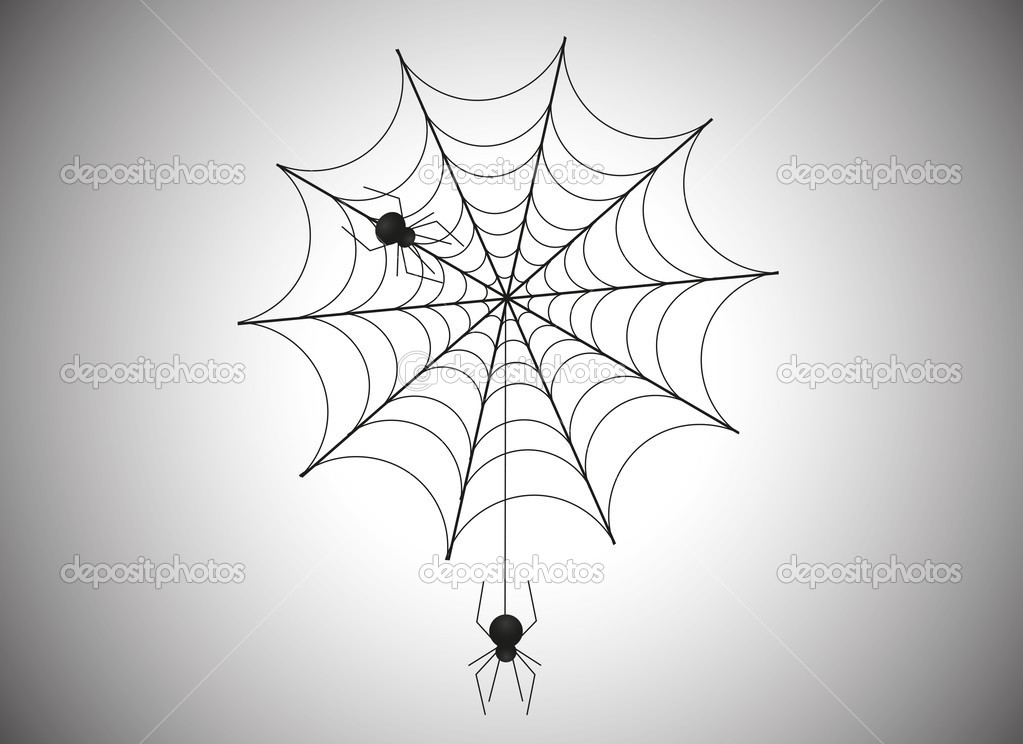 Spider and web