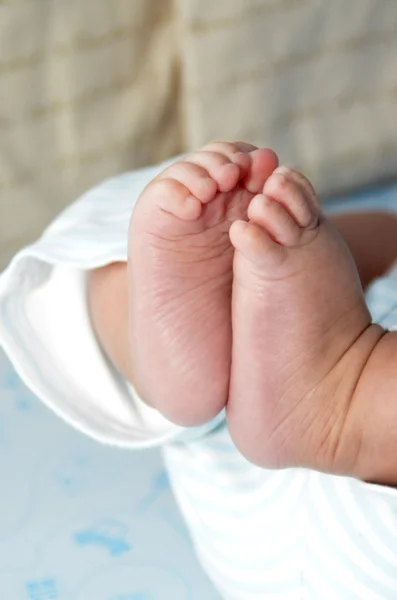 Πόδια μωρού Εικόνα Αρχείου