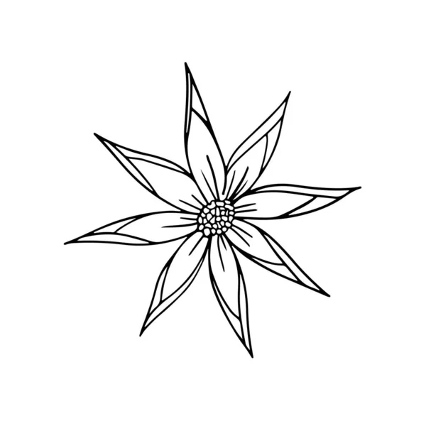 白色背景的涂鸦花柱中独立的花朵元素，用于美化设计和明信片装饰 — 图库矢量图片