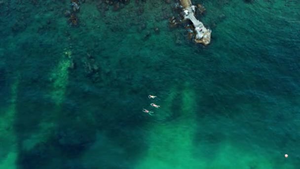 Pandangan Atas Pada Tiga Orang Berenang Laut Dalam Air Transparan — Stok Video
