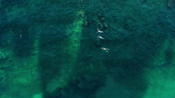Top zicht op drie mensen die zwemmen in de zee in transparant water met grote stenen op de bodem — Stockvideo