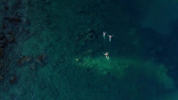 Top view on three people swimming in the sea in transparent water with big stones at the bottom — Stock Video