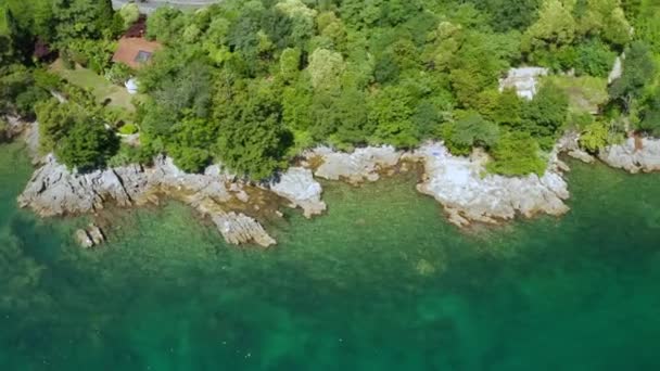Drone widok na skaliste wybrzeże z drzew i czystej wody morskiej — Wideo stockowe