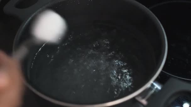 A pessoa derrama o sal na água fervente na panela no momento da cozinha — Vídeo de Stock