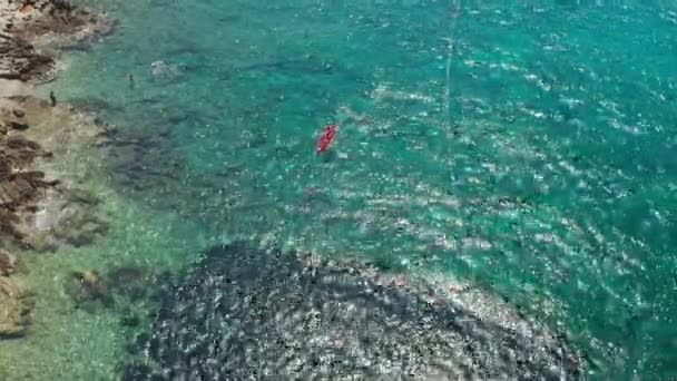 Une personne ramène un kayak rose le long d'une eau de mer limpide et brillante — Video