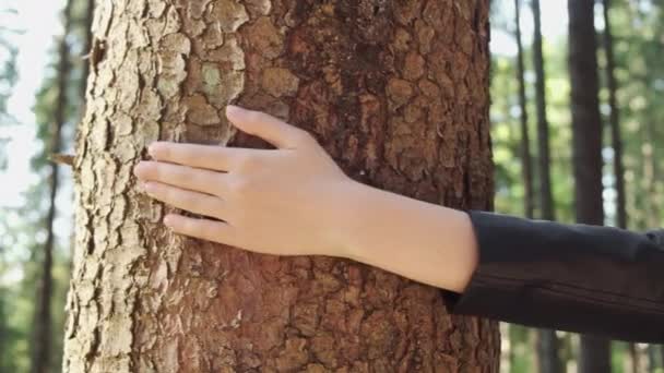 女性の手をそっと森の中の木の樹皮に触れる。自然の美しさの楽しさ。生物多様性と自然保護 — ストック動画