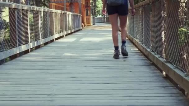 Jonge vrouw geniet bos wandelen langs houten weg — Stockvideo