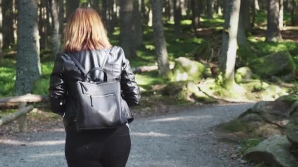 Jovem com mochila passeia ao longo do caminho na floresta — Vídeo de Stock