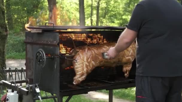 Chef asado cerdo en llamas en brasero cepillado cerdo con salsa — Vídeo de stock