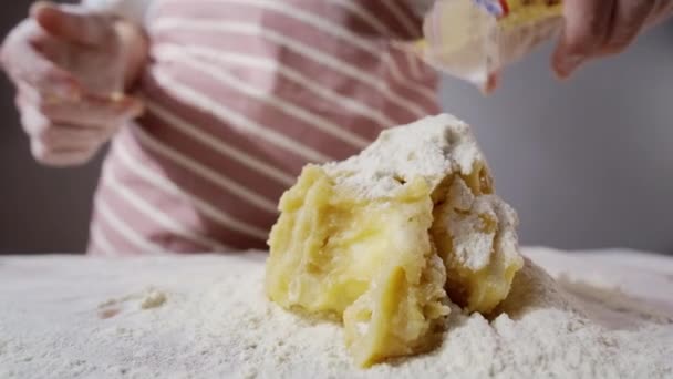 집에서 만든 매운 진저브레드 반죽에 밀가루를 붓는 여자 — 비디오