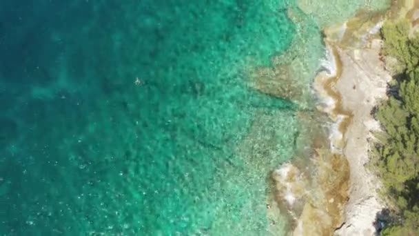 Aerial view of rocky coast of the Adriatic sea with crystal clear waters — Video Stock