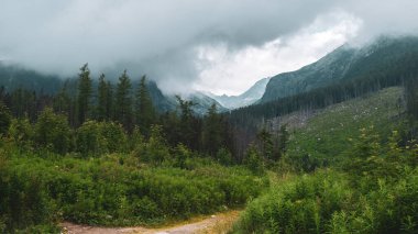 High Tatra mountains peak covered by clouds before rain on the background in Slovakia. Tourist trails for hiking in summer. 