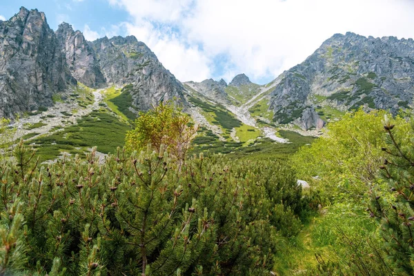 青い空とスロバキアの背景に雲と高タトラ山脈のピーク。夏のハイキングのための観光コース. — ストック写真