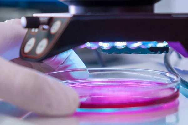 Mikroskop i ett medicinskt forskningscenter för analys av prov. Forskare i gummihandskar som testar prover i mikrokemiskt laboratorium. — Stockfoto