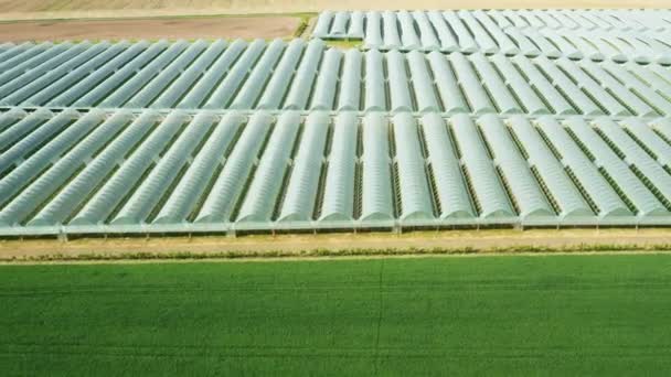 Vista aérea da estufa agrícola para o cultivo de plantas e legumes perto do campo verde. — Vídeo de Stock