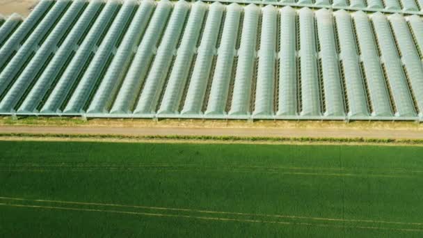 Veduta aerea dell'agricoltura serra per la coltivazione di piante e ortaggi vicino al campo verde. — Video Stock