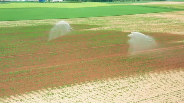 Letecký záznam automatického zavlažování zavlažovacího systému v oblasti zemědělství — Stock video