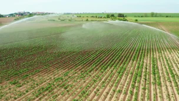 Növénytermesztési terület légi felvétele öntözőrendszerrel — Stock videók