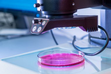 Biyokimyasal veya tıbbi laboratuardaki Petri kabındaki örnekleri incelemek için modern bir elektronik mikroskop.