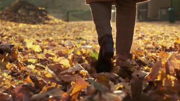 Kobieta spaceruje i kopie suche liście wzdłuż drogi w jesiennym parku — Wideo stockowe