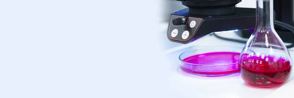 페트리 접시를 사용 한 화학 실험실 배너, 빨간 혈액 샘플을 가진 플라스크, 복사 공간을 가진 현미경. 지속적 인 논리 , HIV, 혈액 또는 DNA 분석 개념. — 스톡 사진