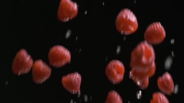 Throwing up and falling down raspberries and drops of water on the black background in slow motion — Stock Video