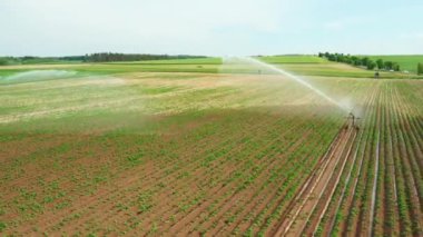 Çevir sulama sistemiyle ekin alanının havadan görüntüsü.