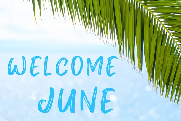 Arka planda palmiye yaprağı ve mavi denizle Haziran ayına hoş geldiniz. Bir tebrik kartı, kartpostal ya da bir tur acentesinin reklamı. — Stok fotoğraf