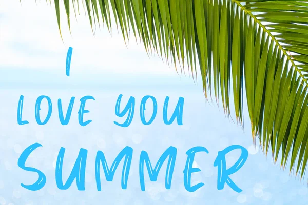 ヤシの葉と青い海を背景にエレガントなフォントで書かれた夏のメッセージが大好きです。休日のコンセプトとツアー代理店の広告 — ストック写真