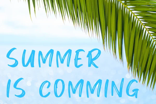 Summer is comming message written in elegant font on the background with palm leaf and blue sea. Holiday concept and advertising of tour agency — Stock Photo, Image