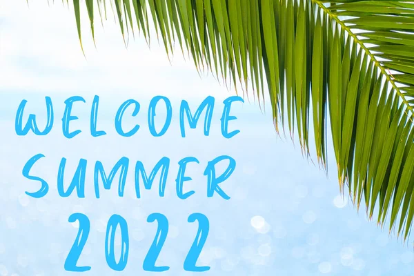 Приветствуем текст лета 2022 года на заднем плане с пальмовым листом и синим морем. Шаблон поздравительной открытки, открытки или рекламы туристического агентства — стоковое фото