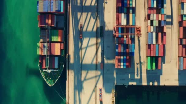 Vykládání kontejnerů s obrovským portálovým jeřábem z zakotvené lodi — Stock video