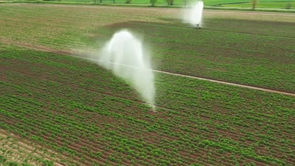 自動灌漑の空中映像は農業分野の散水システムを振りかける — ストック動画