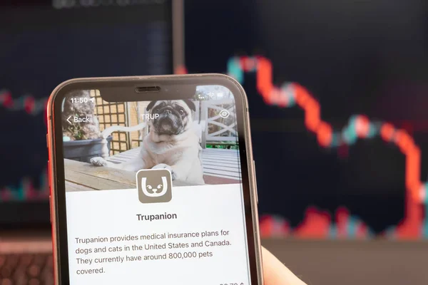 Trupanion queda do preço das ações no mercado de negociação com gráfico de barras gráfico de linha de tendência de baixa em segundo plano. Homem segurando um telefone celular com logotipo da empresa, fevereiro de 2022, San Francisco, EUA — Fotografia de Stock