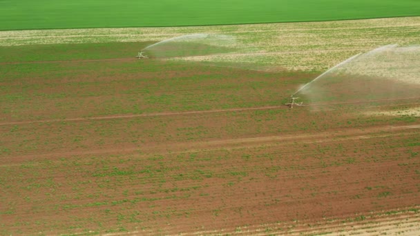 Filmati aerei di irrigazione automatica impianto di irrigazione a spruzzo in campo agricolo — Video Stock