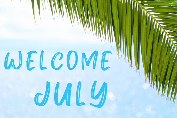 Arka planda palmiye yaprağı ve mavi denizle Temmuz ayına hoş geldiniz. Bir tebrik kartı, kartpostal ya da bir tur acentesinin reklamı. — Stok fotoğraf