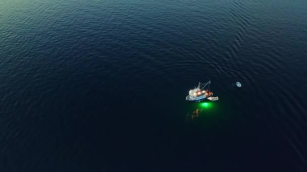 Woda oświetleniowa statku z zielonym światłem do połowów — Wideo stockowe
