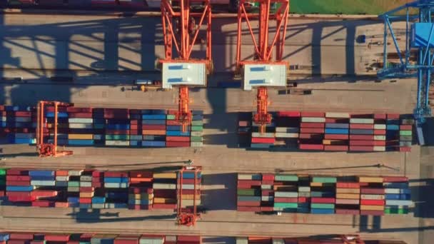 Terminal de carga portuaria y grúa pórtico para carga de contenedores — Vídeo de stock