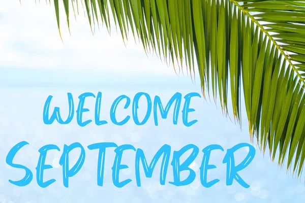Arka planda palmiye yaprağı ve mavi denizli Eylül mesajına hoş geldiniz. Bir tebrik kartı, kartpostal ya da bir tur acentesinin reklamı. — Stok fotoğraf